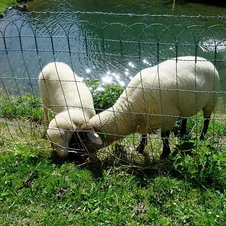 Innviertler Berggasthof Casa de hóspedes Radstadt