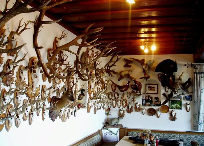 Innviertler Berggasthof بيت ضيافة 3*