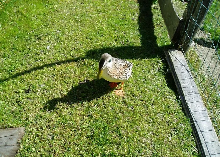 Innviertler Berggasthof Πανσιόν